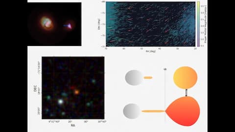 Rare star system discovered in Magellanic Bridge