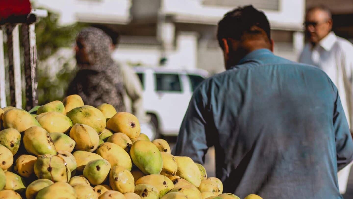 Why Japan has suspended Indian mango imports