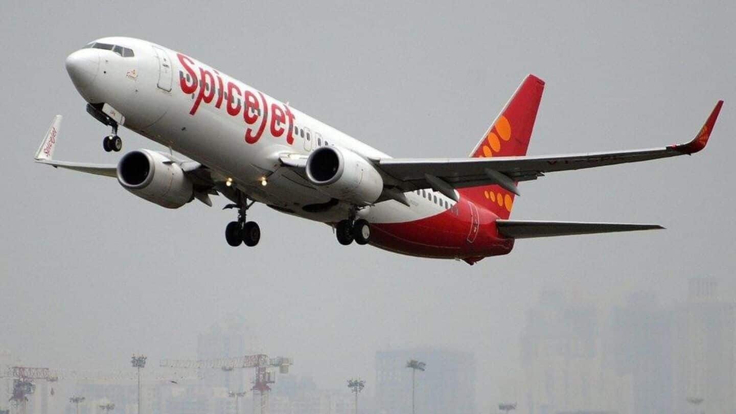 SpiceJet's online services back up after technical glitch