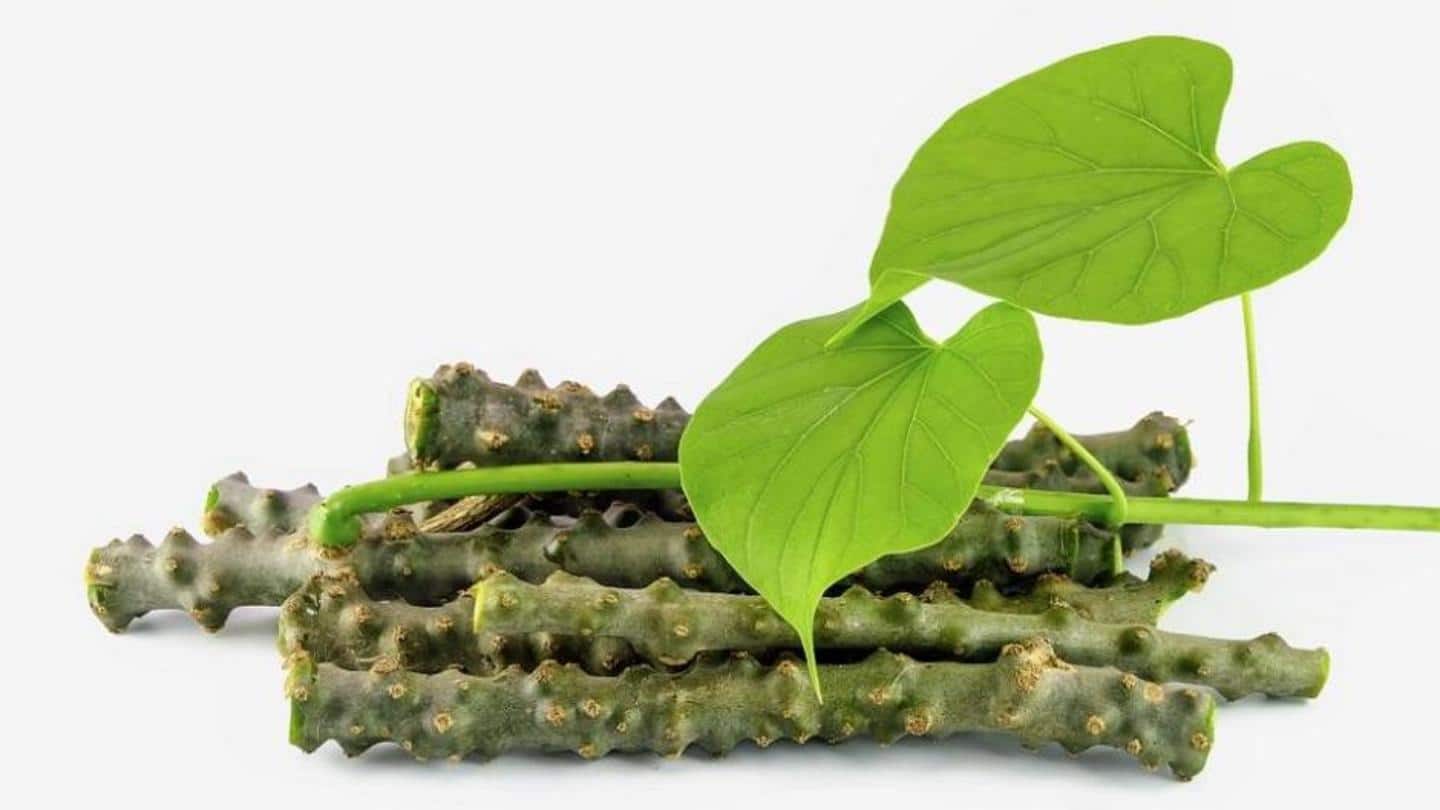 Giloy consumption linked to liver damage: Study Giloy consumption linked to liver damage: Study