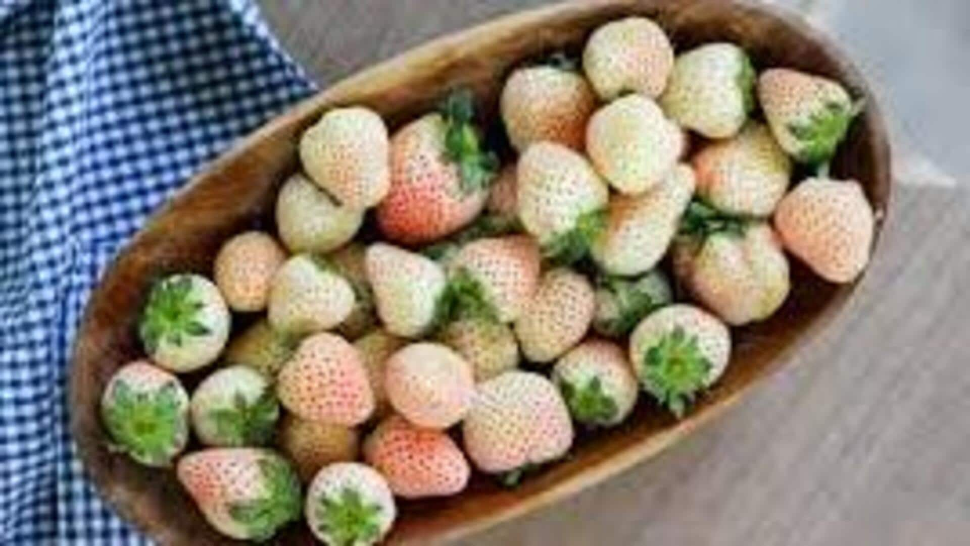 Growing pineberries in indoor vertical towers