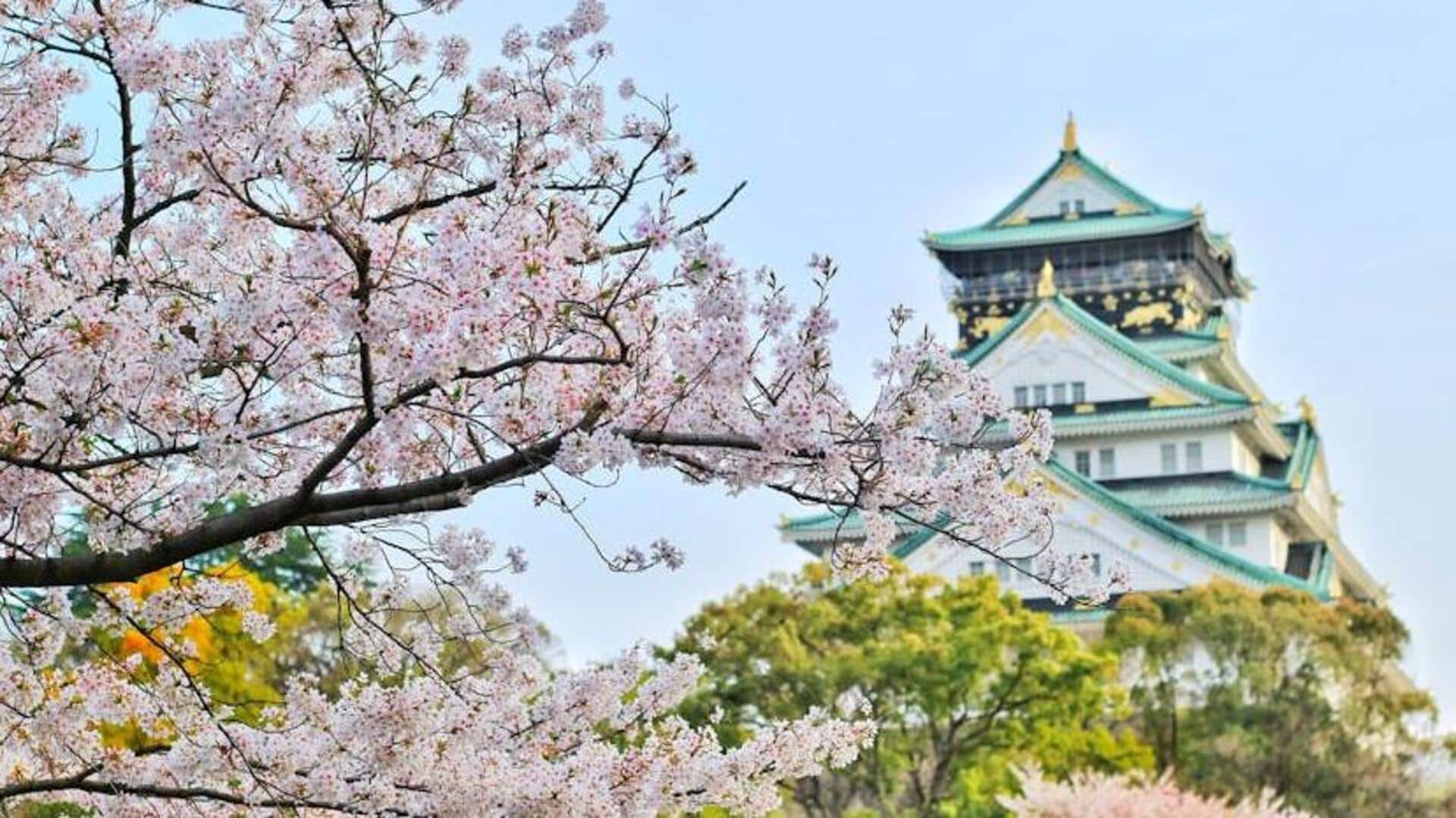 Discover Japan's hidden gems: A guide Discover Japan's hidden gems: A guide