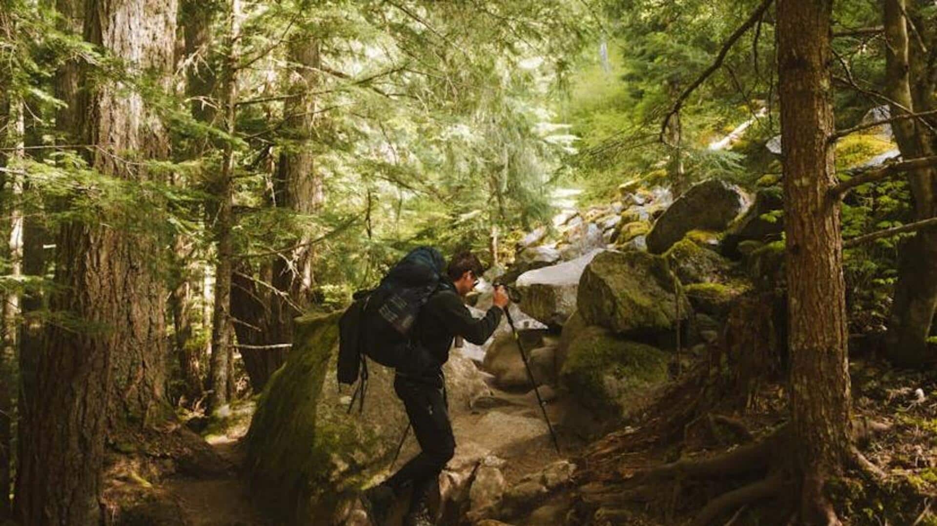 How walking in nature can improve your creativity How walking in nature can improve your creativity
