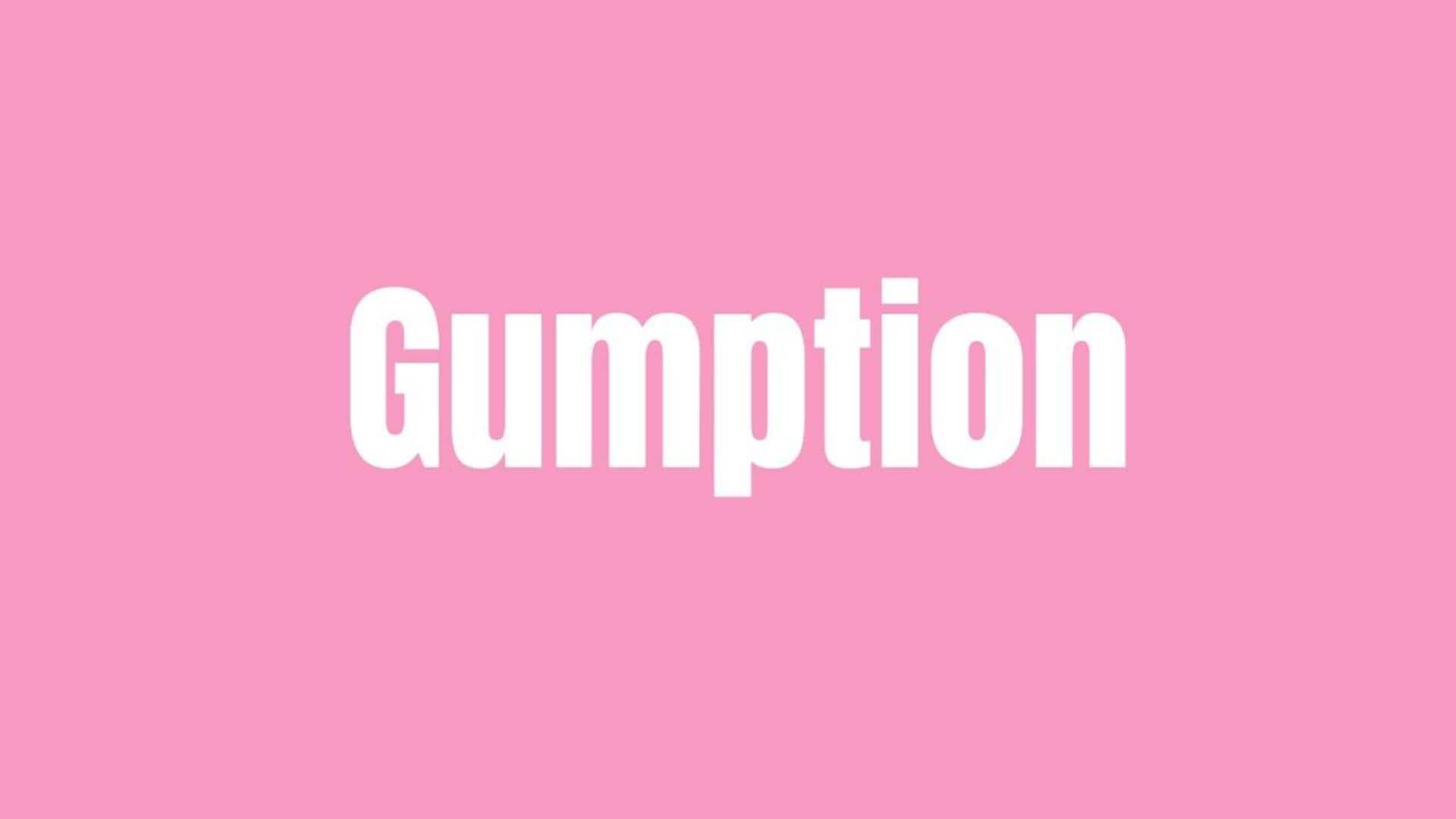 Word of the Day: Gumption