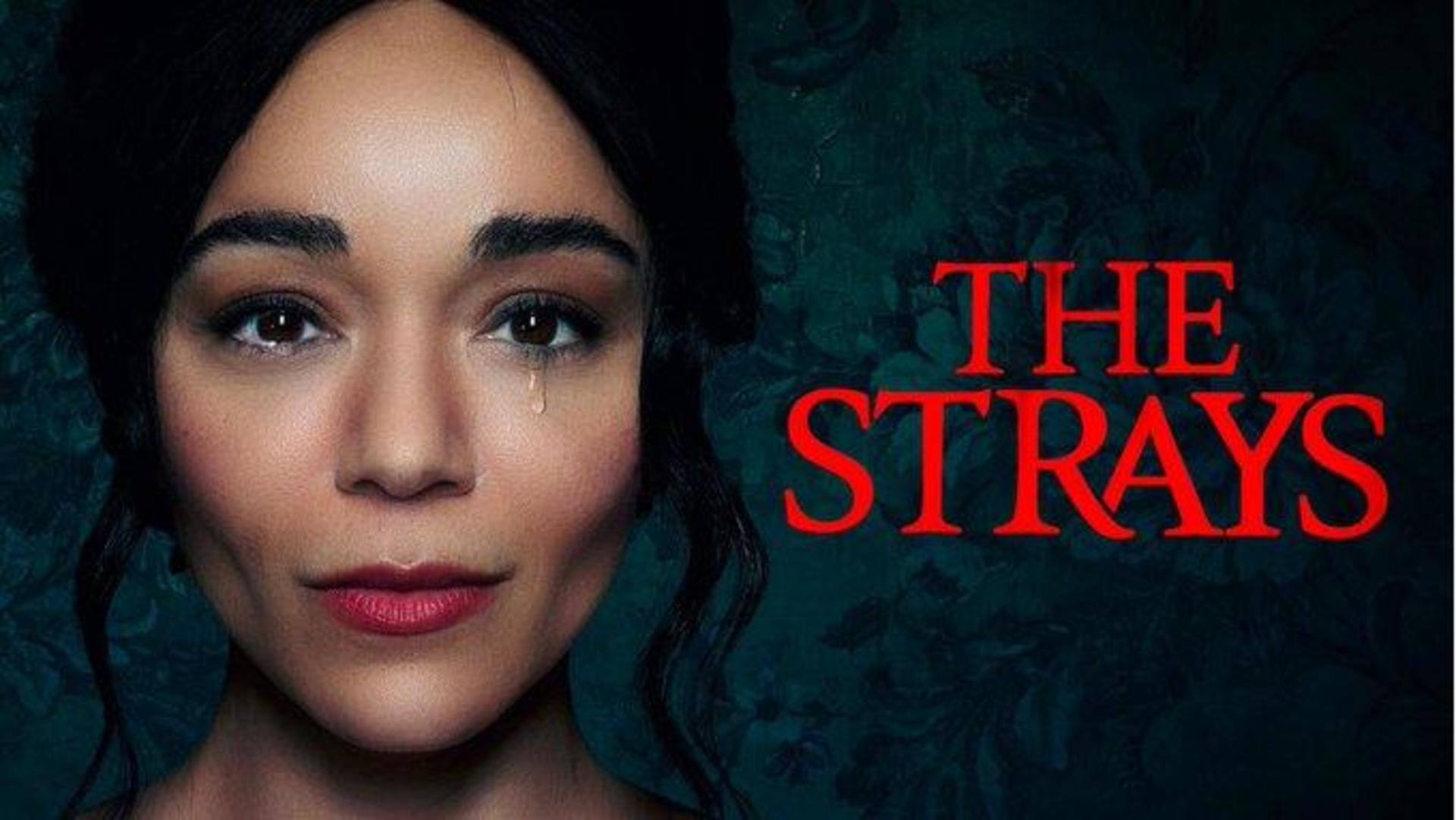 Stream or skip: Ashley Madekwe's social-thriller 'The Strays' on Netflix