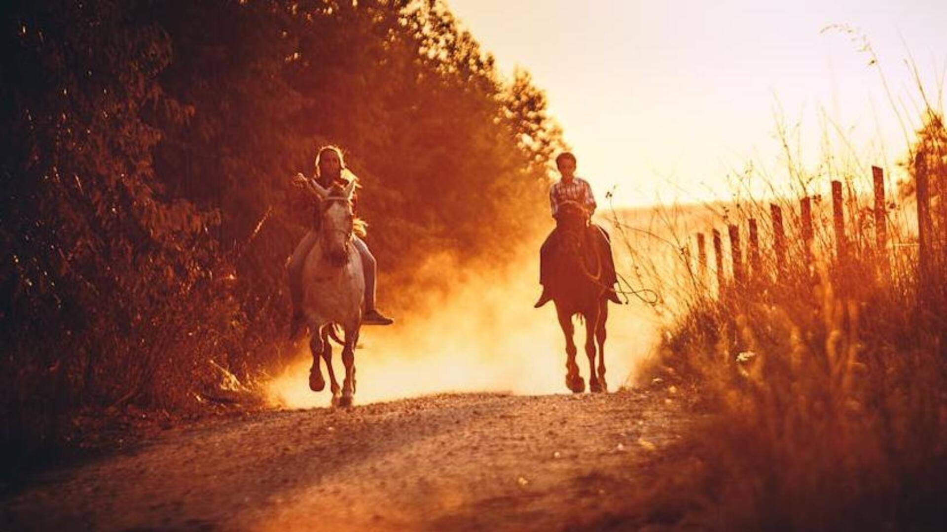 Sunset horseback riding: Desert dunes journey