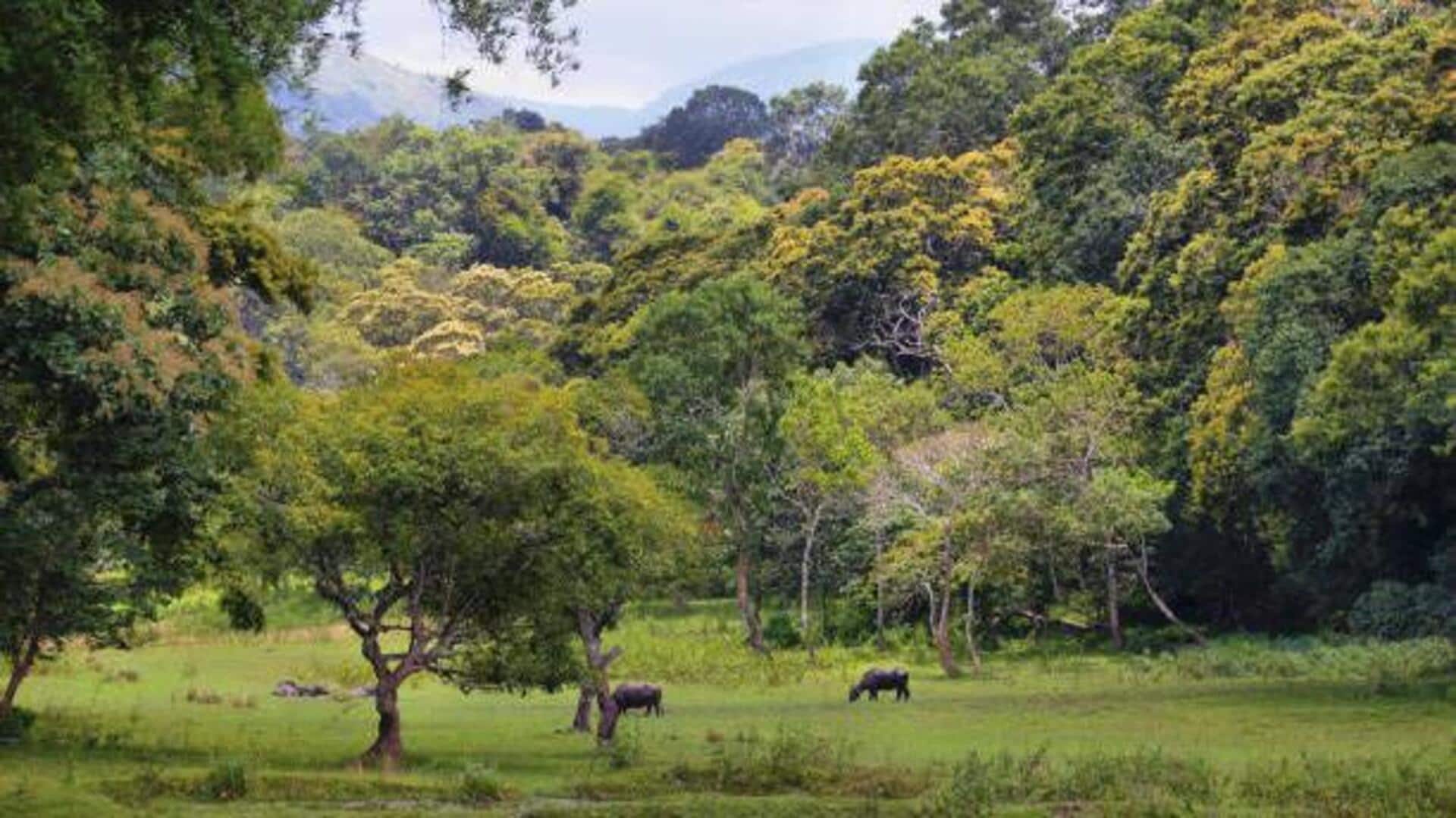 Things to do in a wildlife reserve Things to do in a wildlife reserve