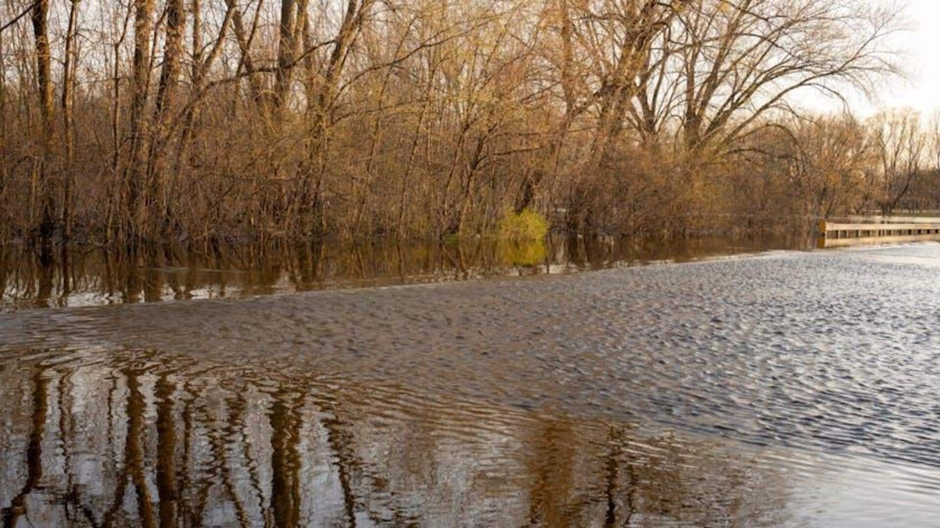 Why paddling through flooded forests should be on your list