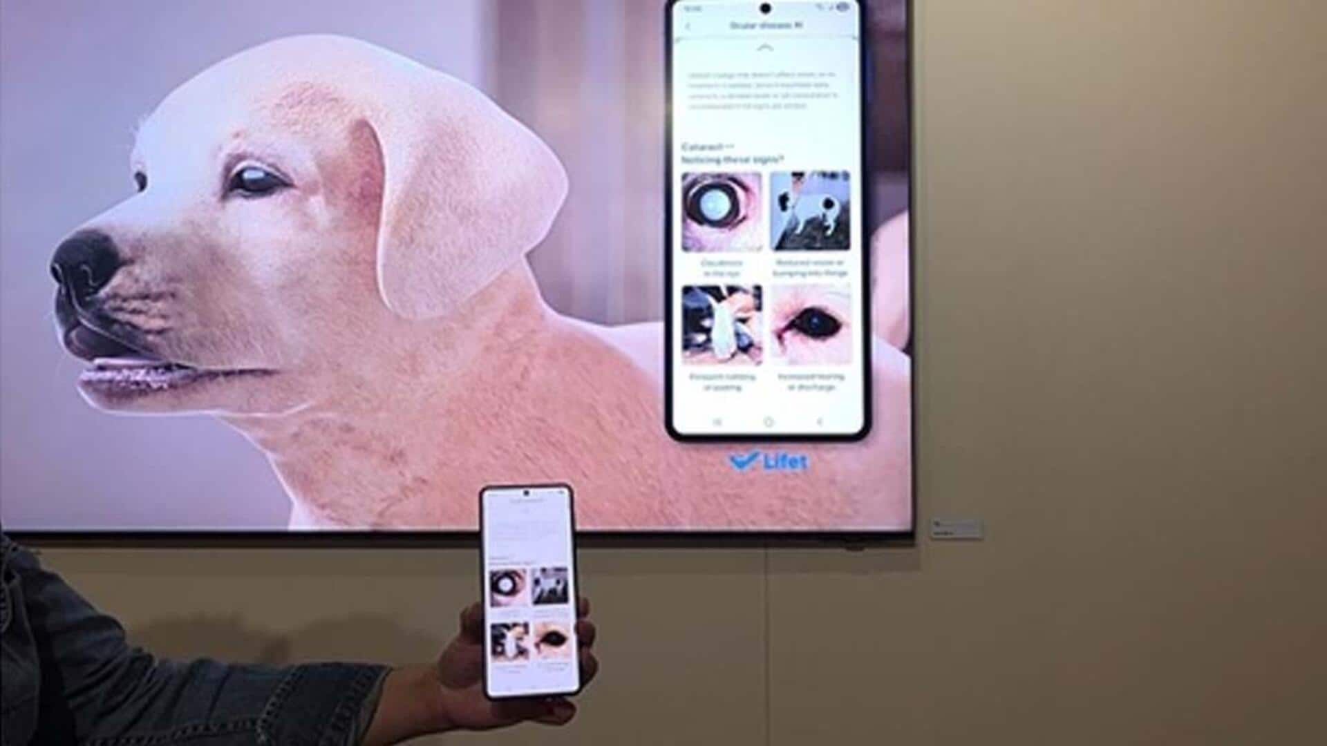 Samsung's AI tool can spot pet health issues from photos