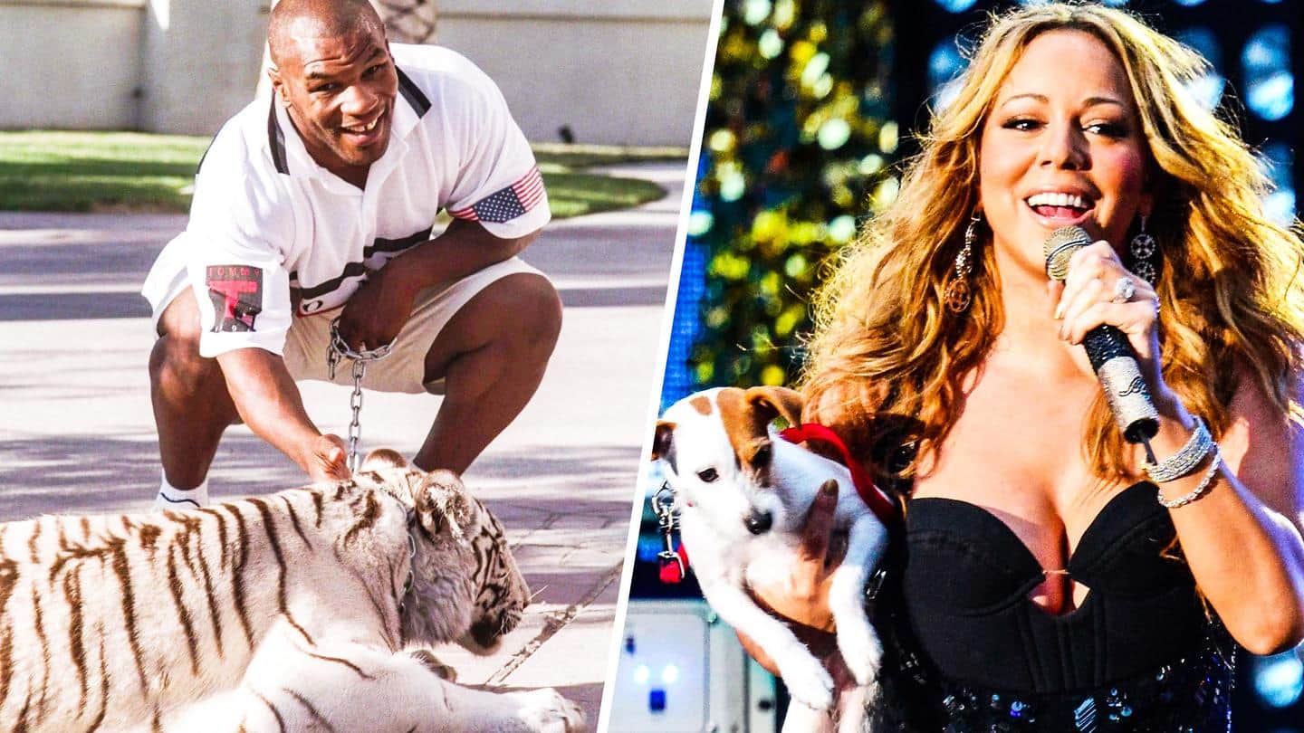 Royal Bengal tigers to Koi fish: 5 expensive celebrity pets