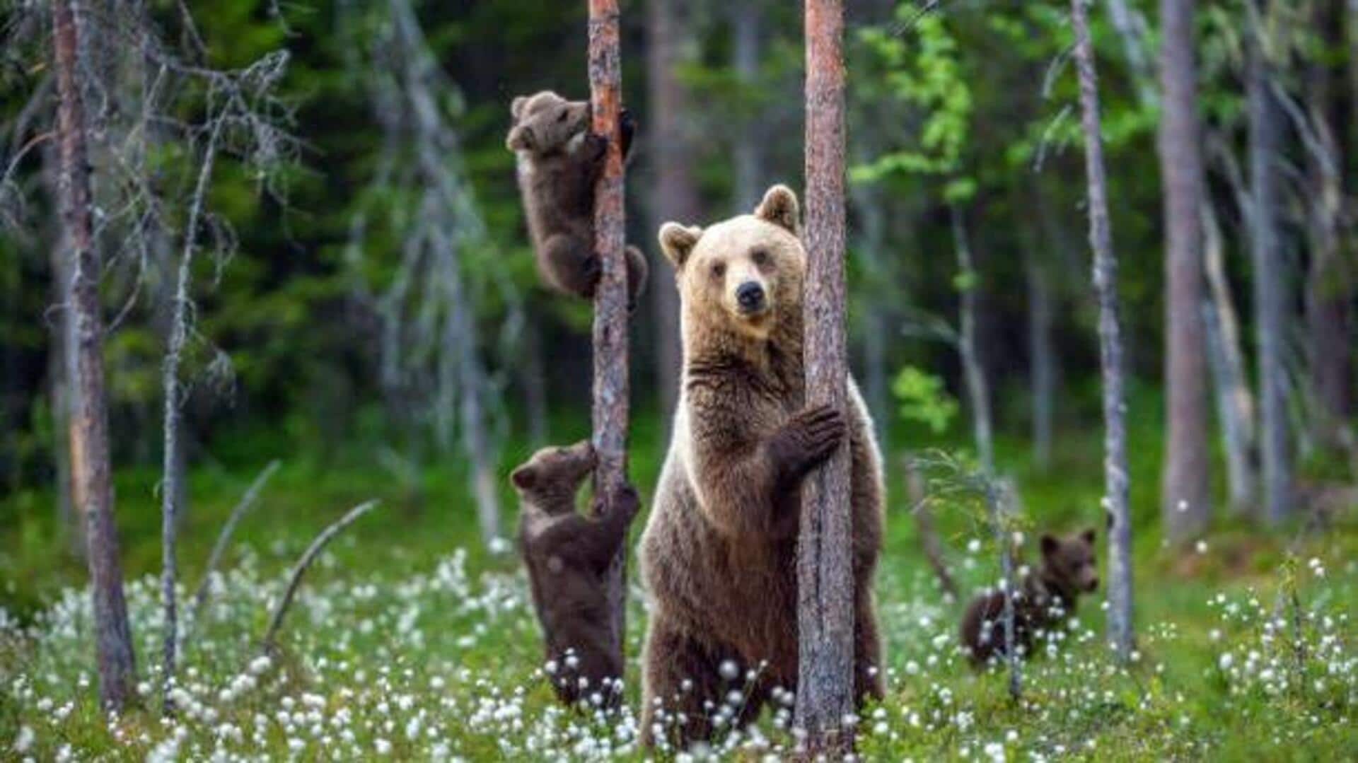 How to support wildlife and conservation How to support wildlife and conservation
