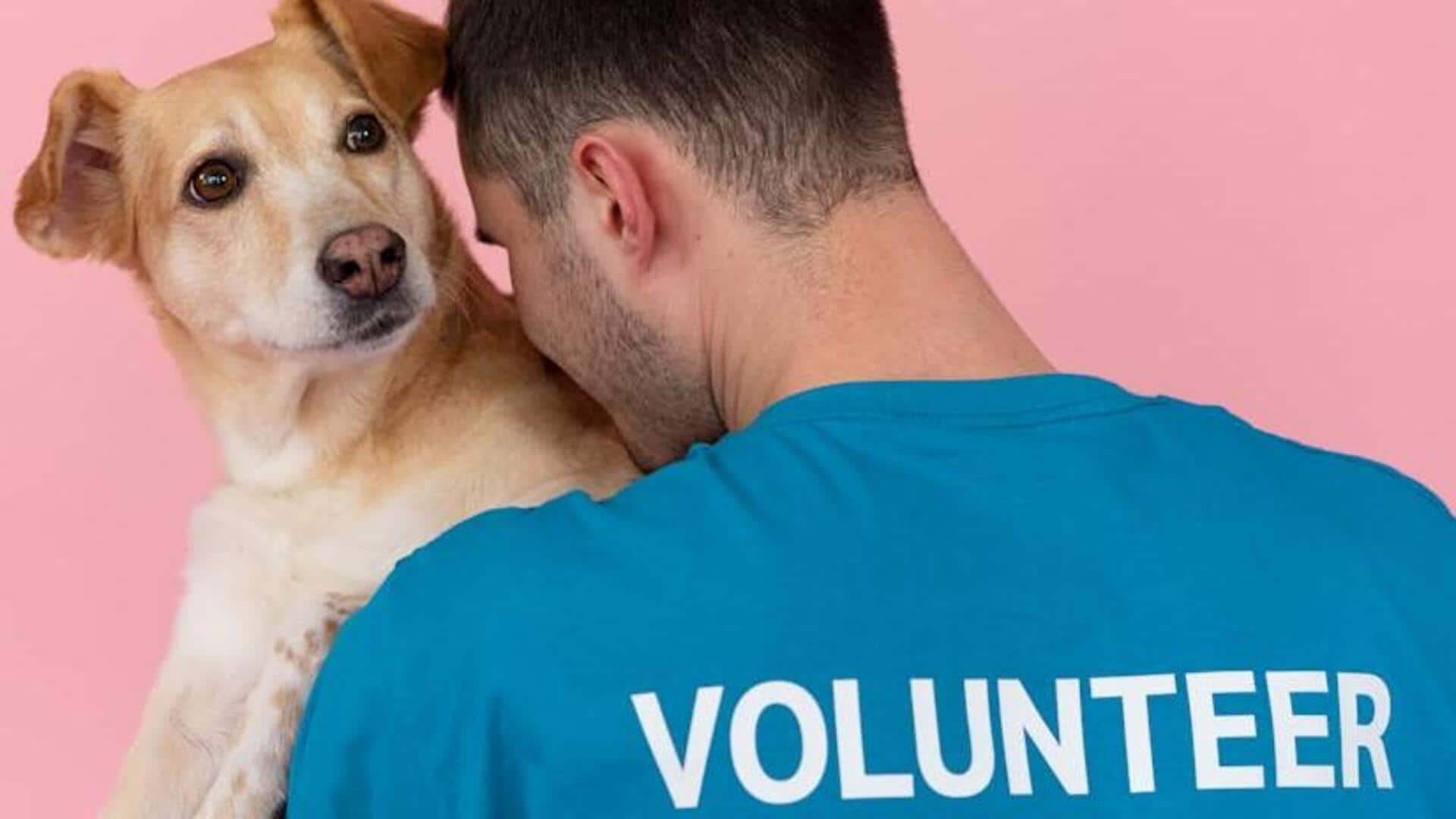 Fostering respect through volunteer activities at animal shelters