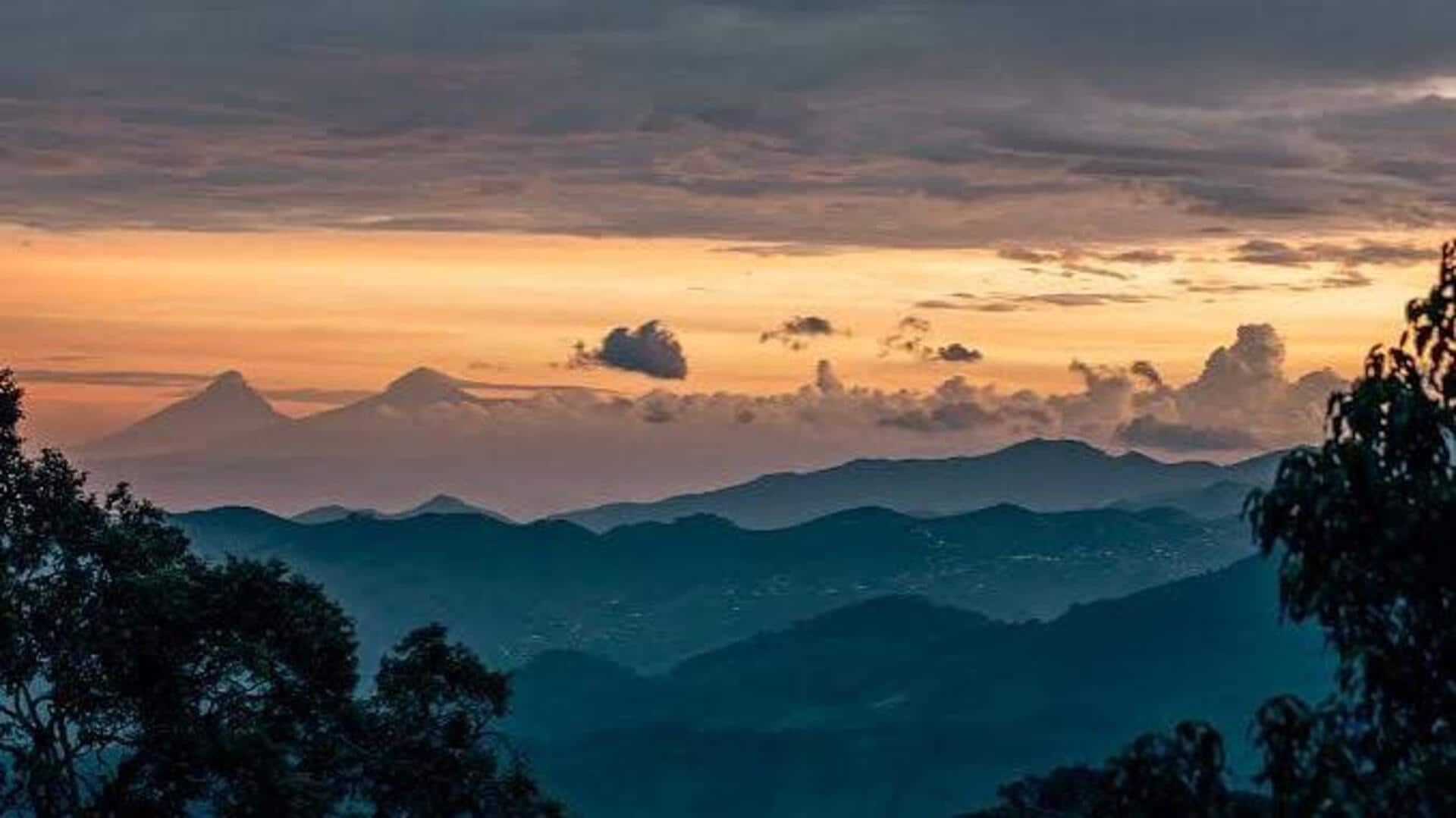 Nyungwe Forest in Rwanda: A must-visit destination 