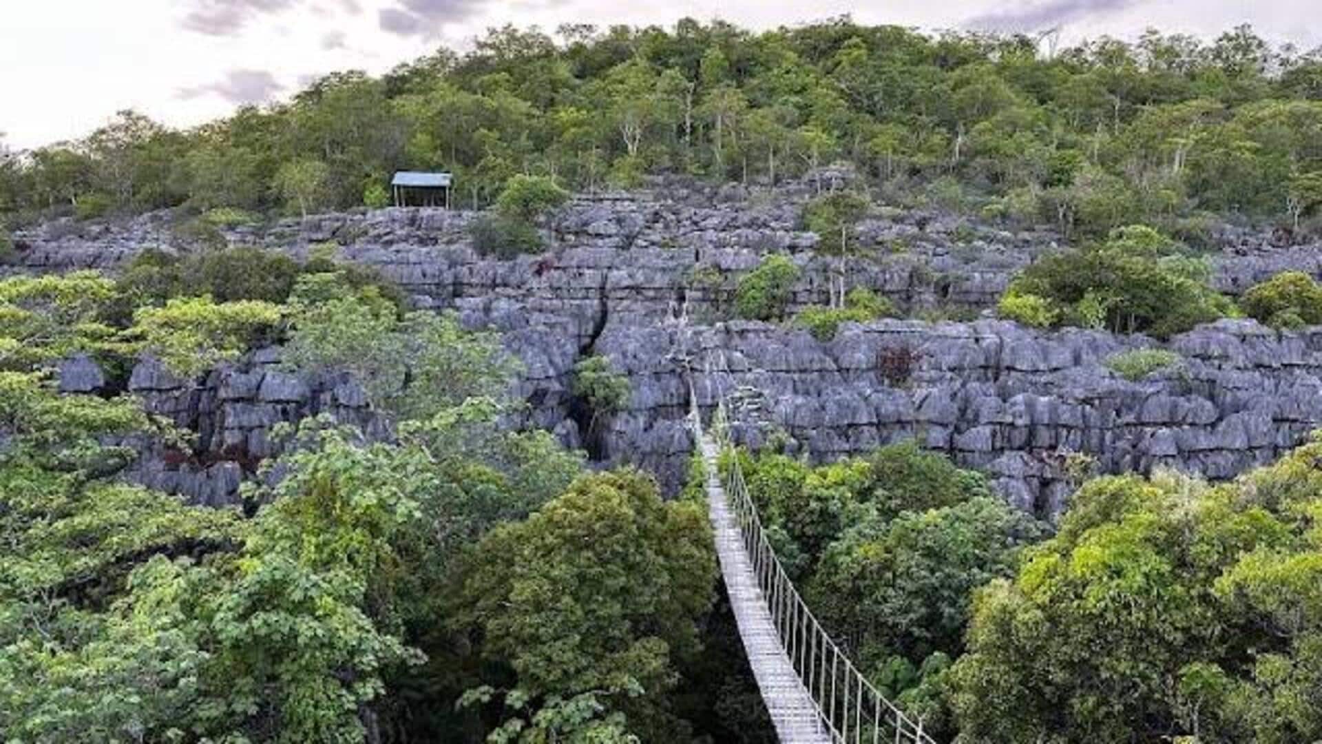 This natural wonder in Madagascar is a sight to behold 