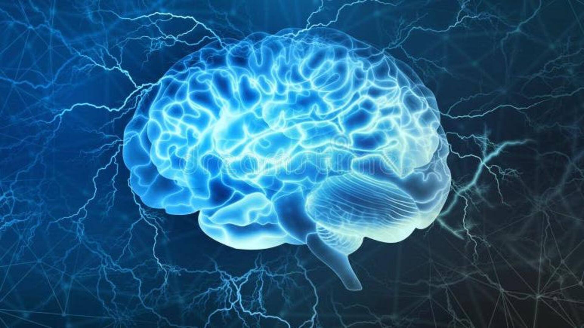 Brain may release its own cannabinoids to lower stress: Study