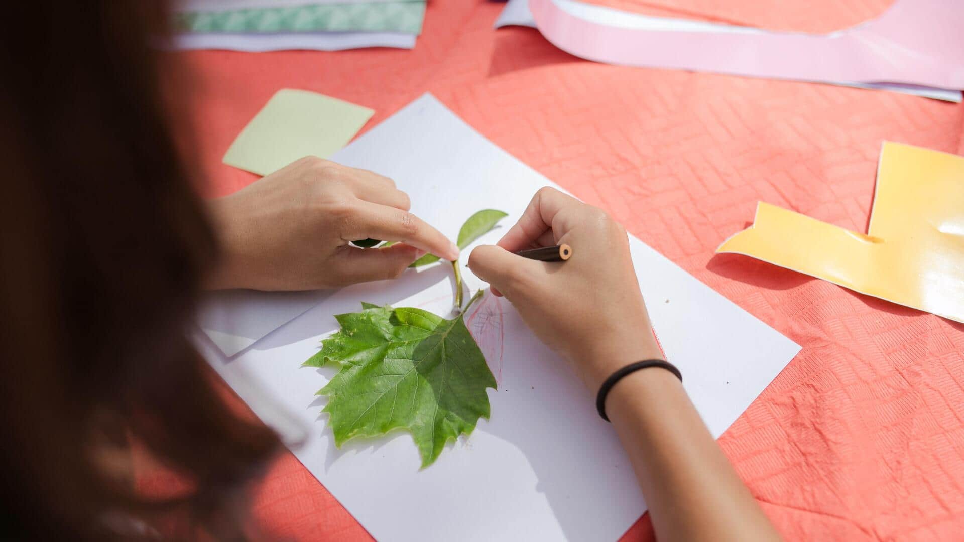 5 easy leaf tracing tips to reduce stress