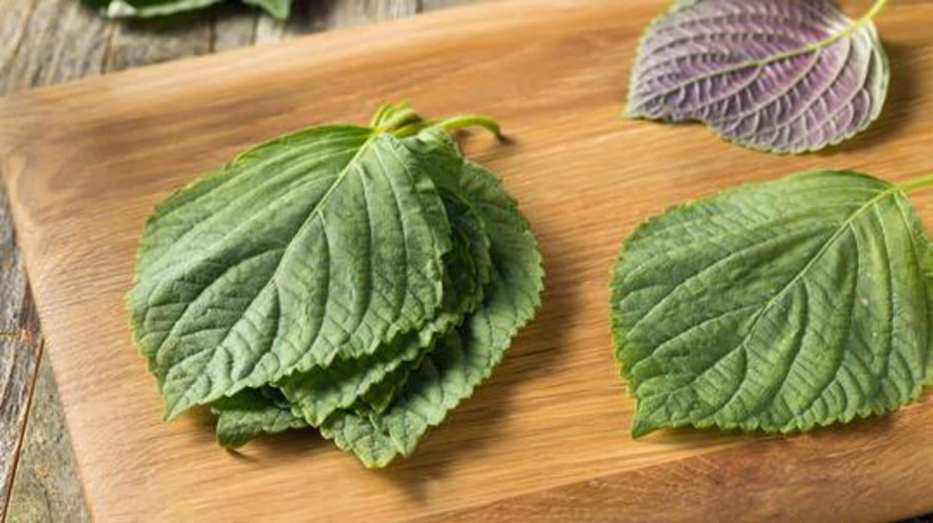 Sesame leaf extract: A traditional skincare remedy