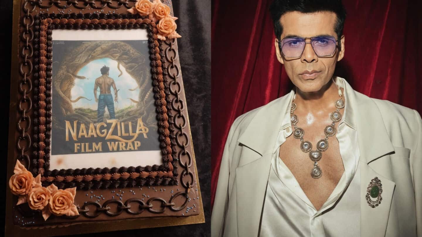 It's a wrap! Kartik Aaryan's 'Naagzilla' completes filming