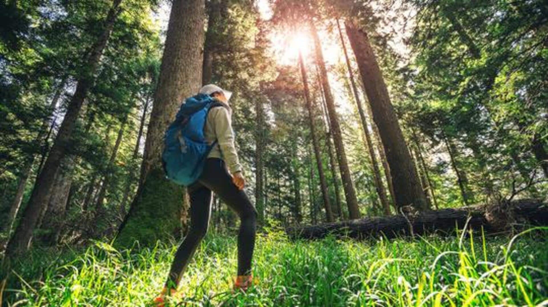 Planning your next trek? Try these rainforest trails Planning your next trek? Try these rainforest trails