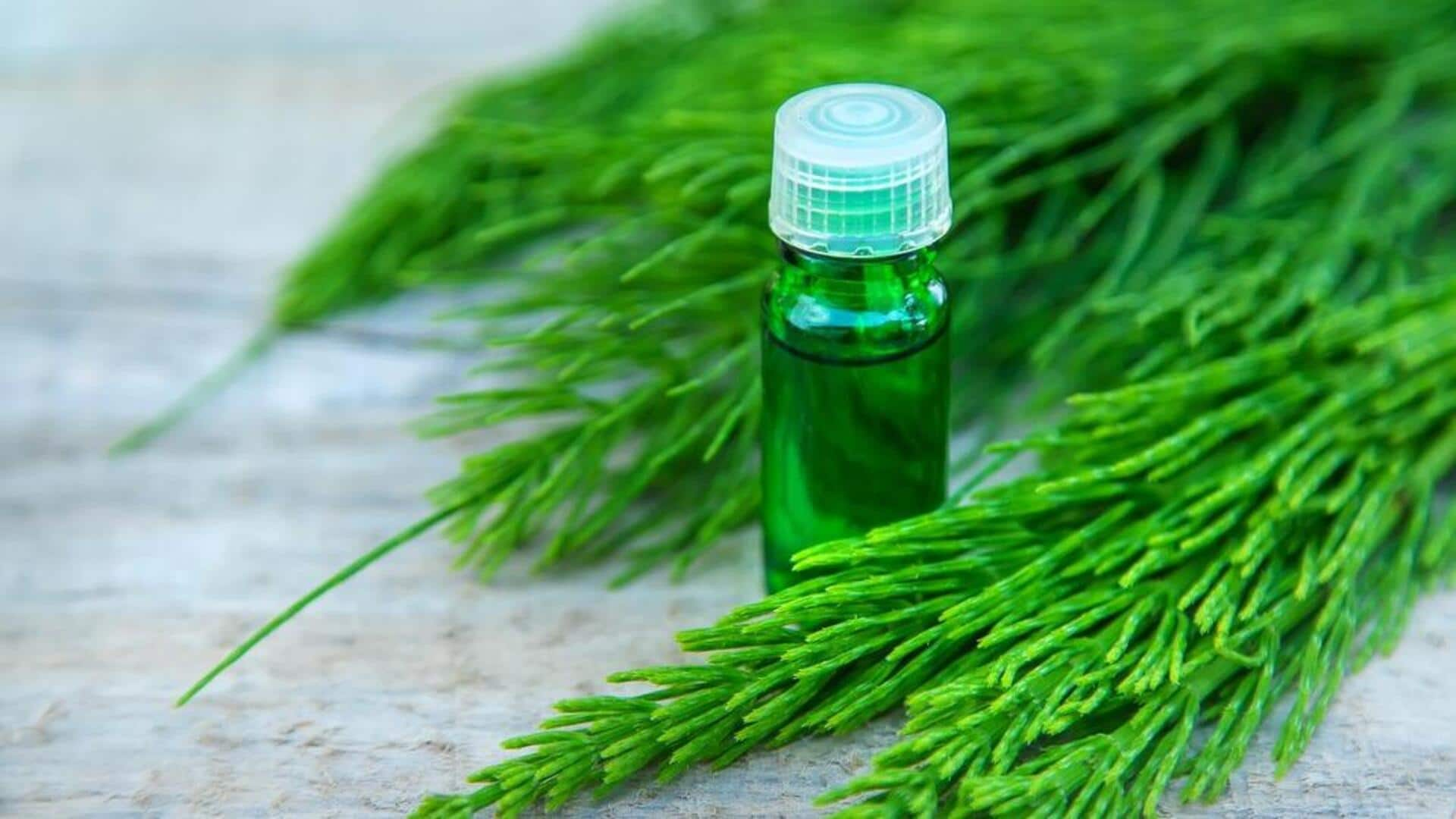 Enhancing natural fingernail strength with horsetail oil