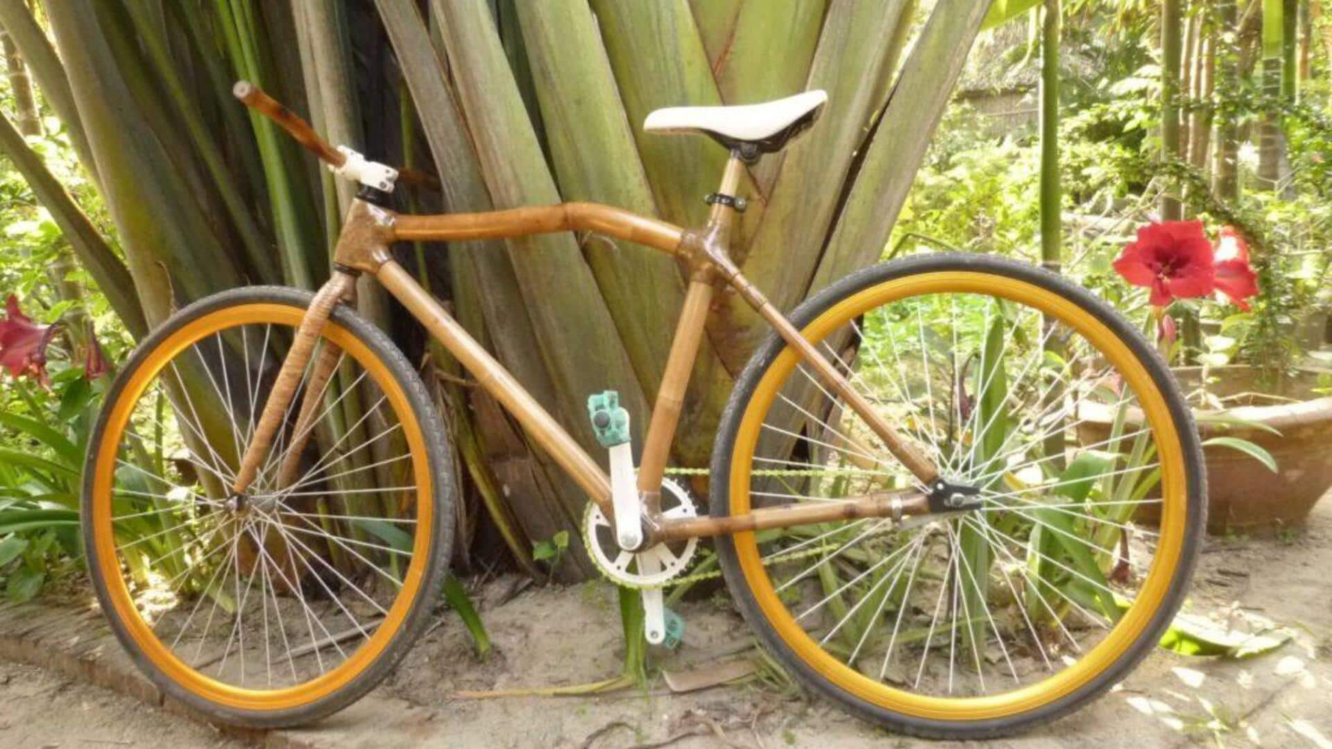 Experience rural life and sustainability on a bamboo bicycle 