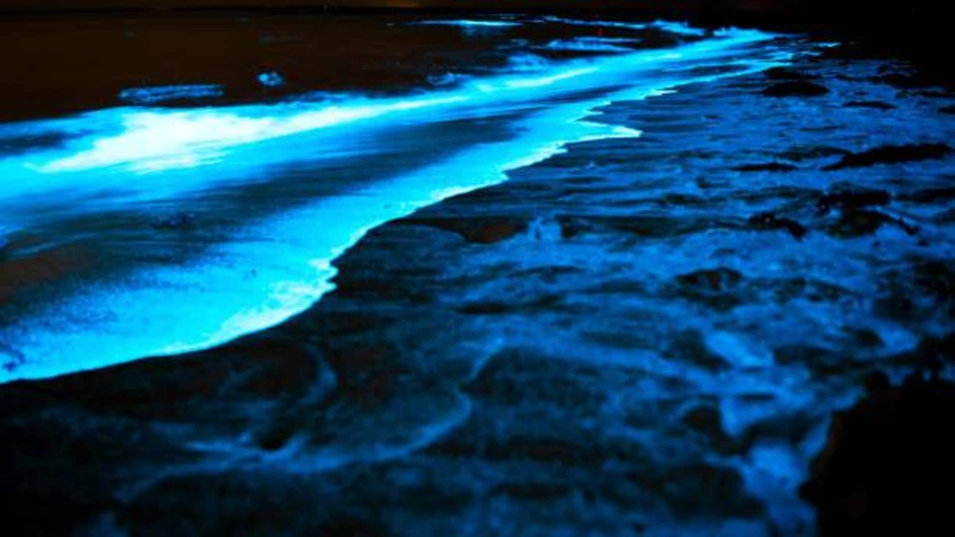 Discover the magic of bioluminescent riverboarding at night 