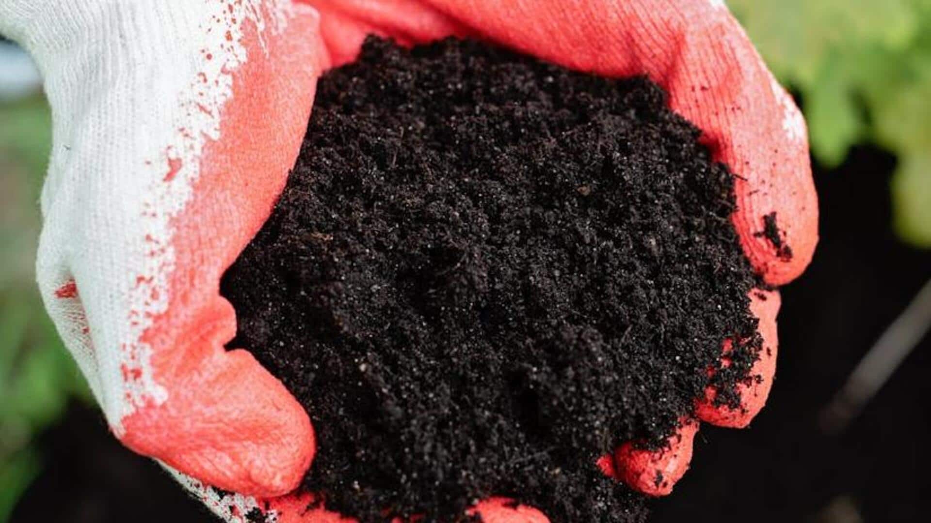 Turn your pet's waste into compost with these simple methods
