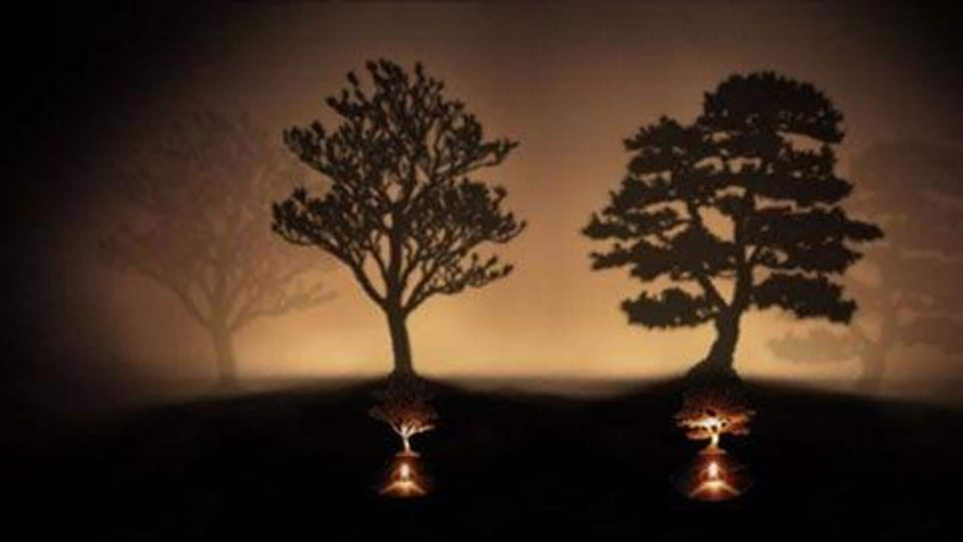 Transform your space with shadow decor effects