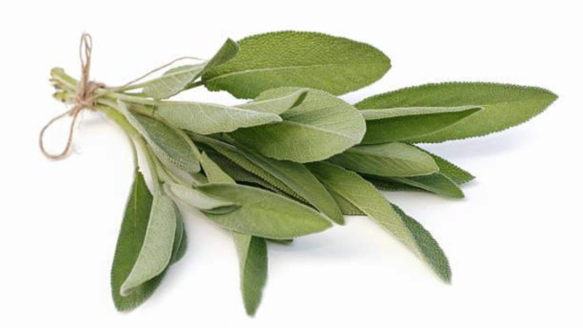 Try these recipes using sage