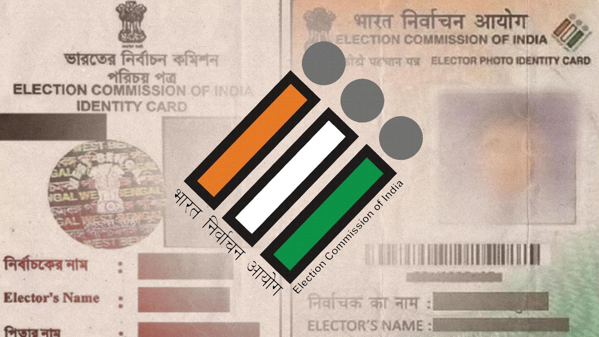 Elections 2024: How to apply for colored voter id card