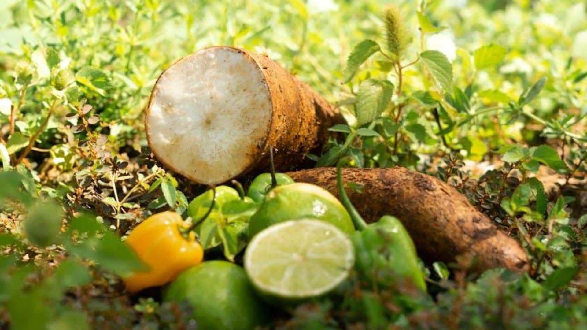 Integral root vegetables in African stews