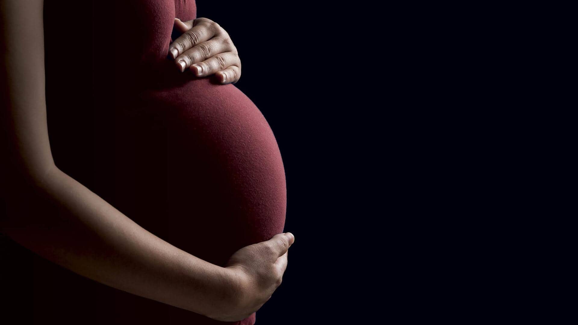 This Chinese 'mini-womb' can help unlock secrets of pregnancy