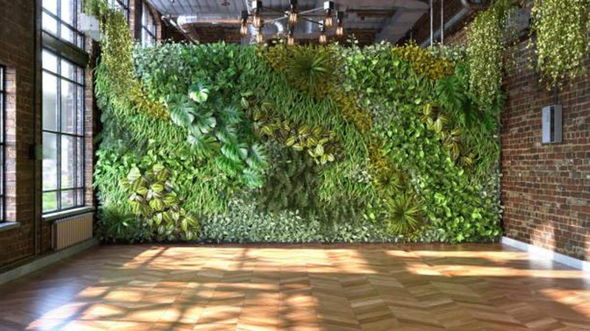 Tips to care for your indoor moss garden Tips to care for your indoor moss garden