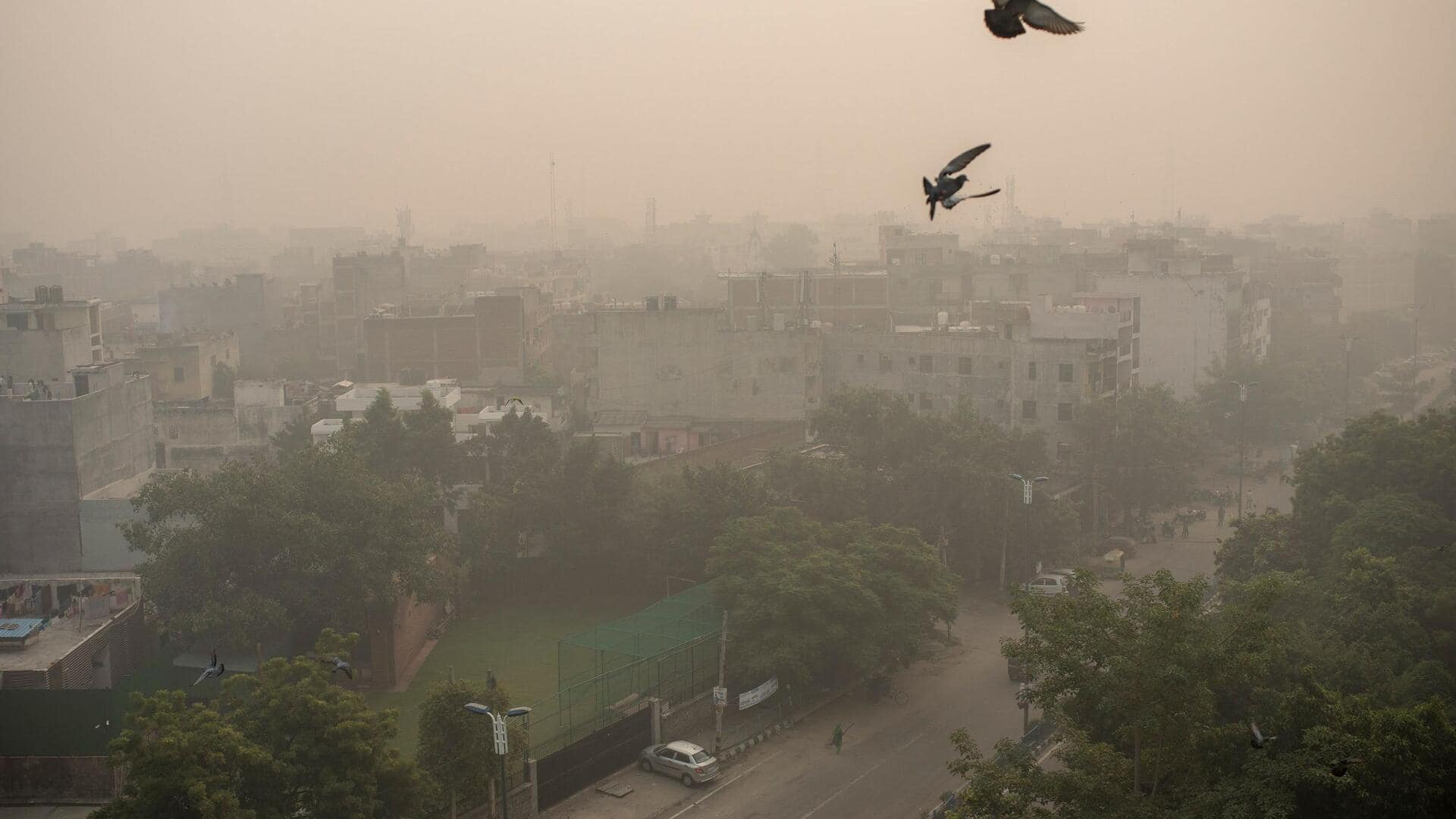 Air pollution leading cause of death in Delhi: Study Air pollution leading cause of death in Delhi: Study
