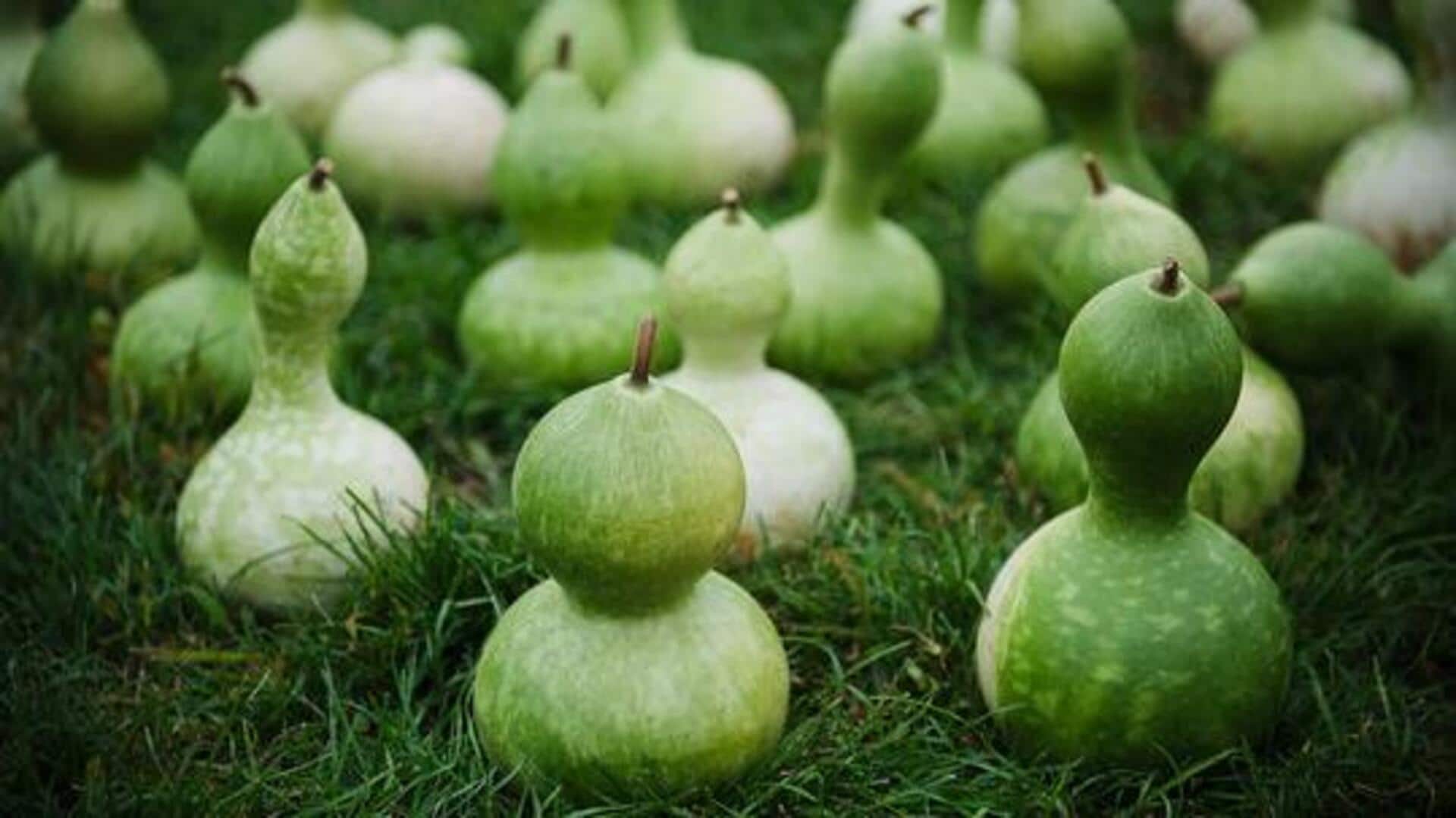 Calabash oil: An underrated beauty ingredient 