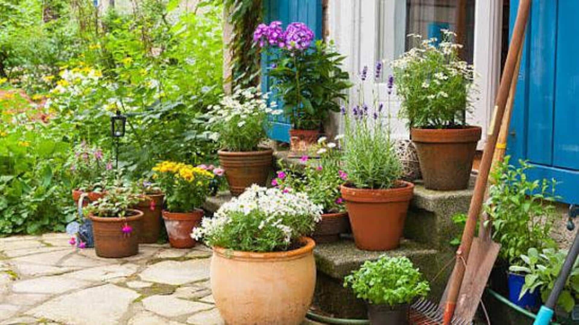 This is how you can create unique flower pots