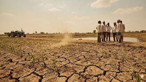 India to receive 'below normal' rainfall this monsoon season 