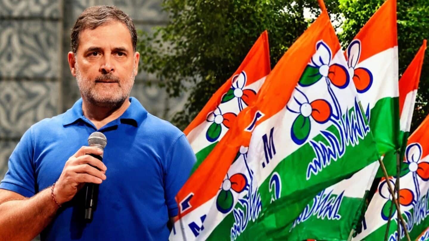 'Now party chori': Rahul Gandhi after ECI freezes TMC's name