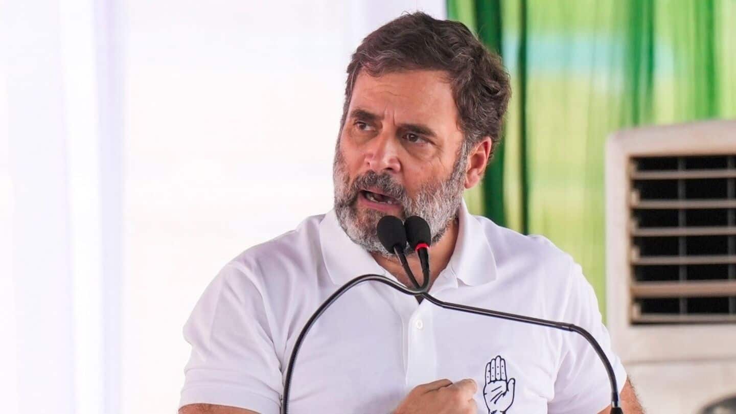 Brazil model voted as 'Seema, Sweety' in Haryana: Rahul Gandhi 