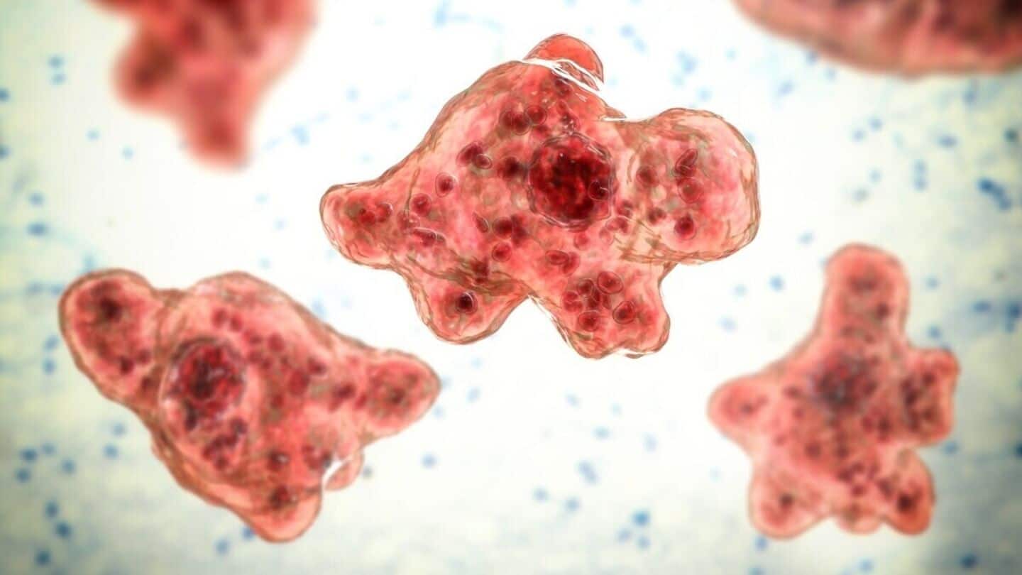 Kerala confirms 67 brain-eating amoeba cases; 18 deaths so far 