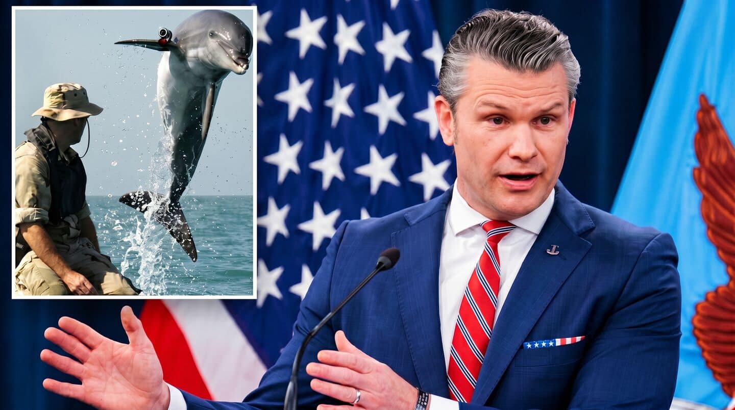 US laughs off Iran's claim they have 'Kamikaze Dolphins'