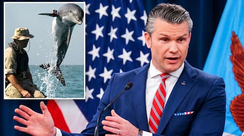 US laughs off Iran's claim they have 'Kamikaze Dolphins'