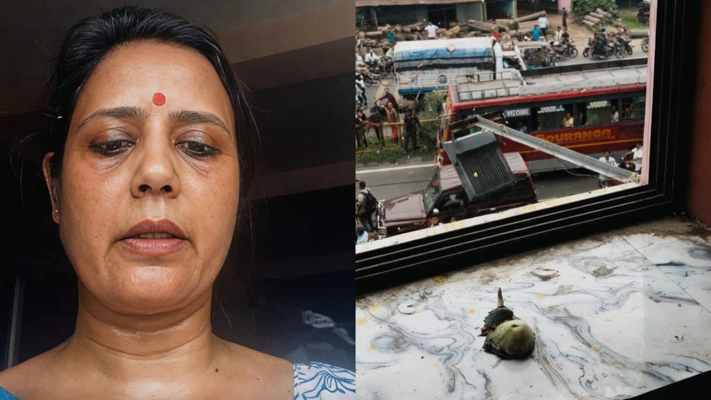 Eggs, brinjals thrown at Mahua Moitra; she shares video 