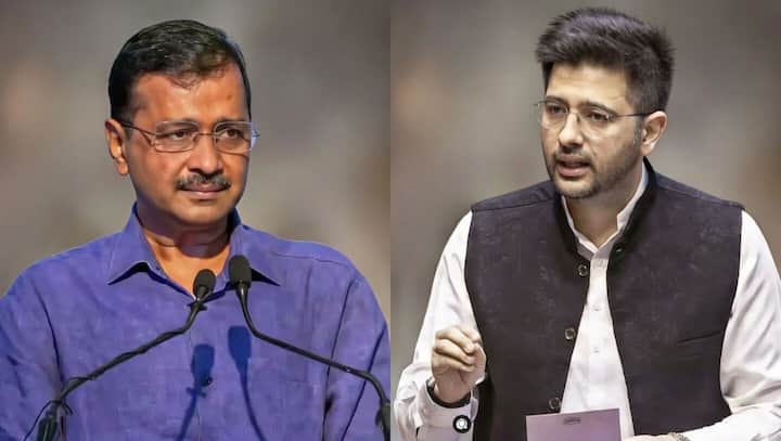 'You've been scared of Modi': AAP responds to Raghav Chadha