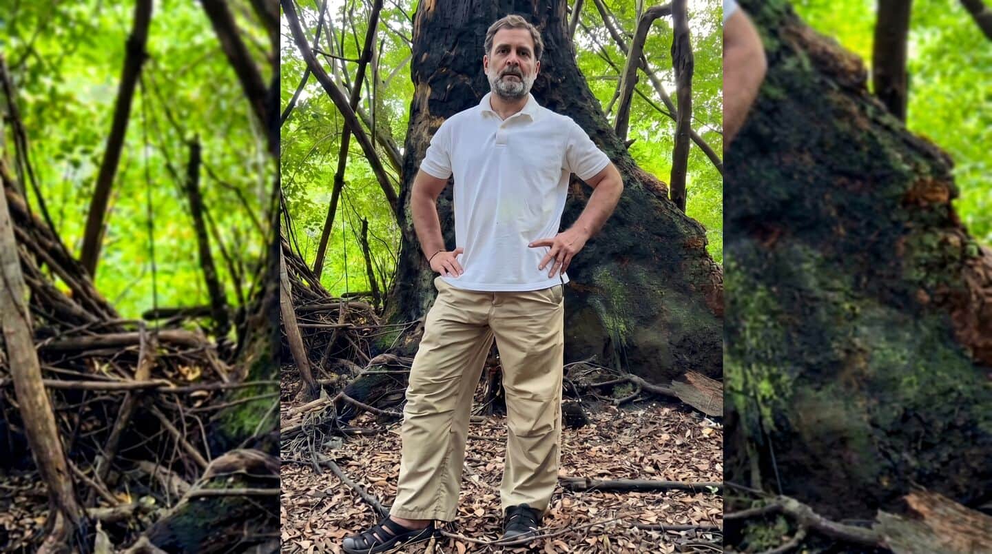 'Gravest crime against nature': Rahul Gandhi slams Centre's Nicobar project 