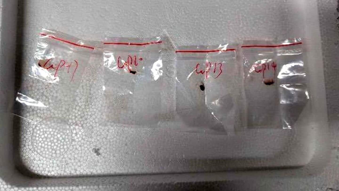 Chinese scientists charged after smuggling 'agroterrorism weapon' fungus into US Chinese scientists charged after smuggling 'agroterrorism weapon' fungus into US