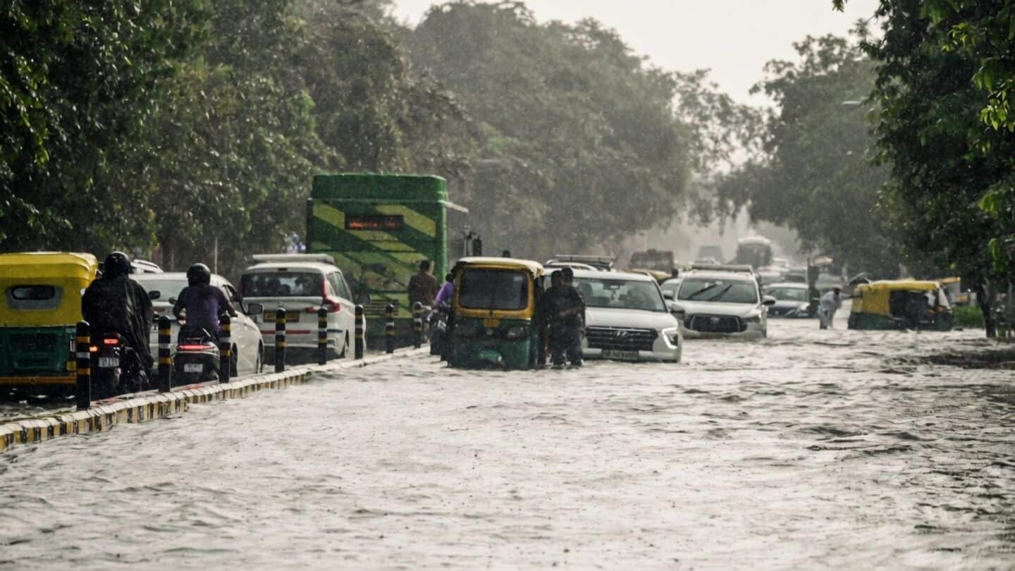 Delhi civic body chairman issues rare apology after waterlogging mess 