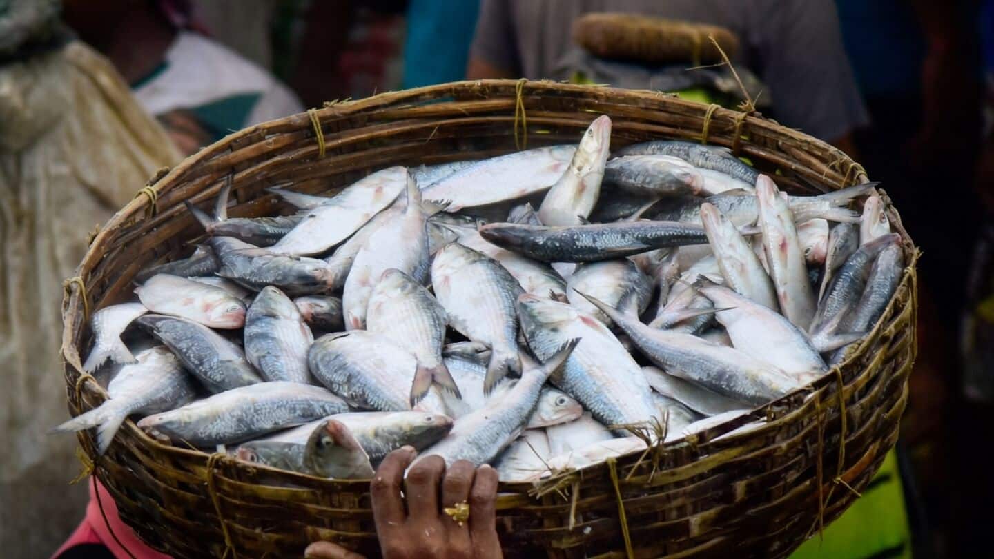 Why Bihar has advised against eating fish after Nepal flood 