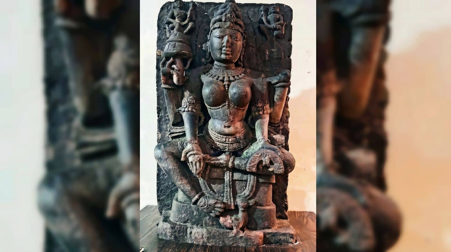 Dhar's Saraswati is actually Gayatri: 3D mapping uncovers 900-year mix-up