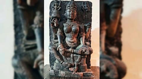 Dhar's Saraswati is actually Gayatri: 3D mapping uncovers 900-year mix-up